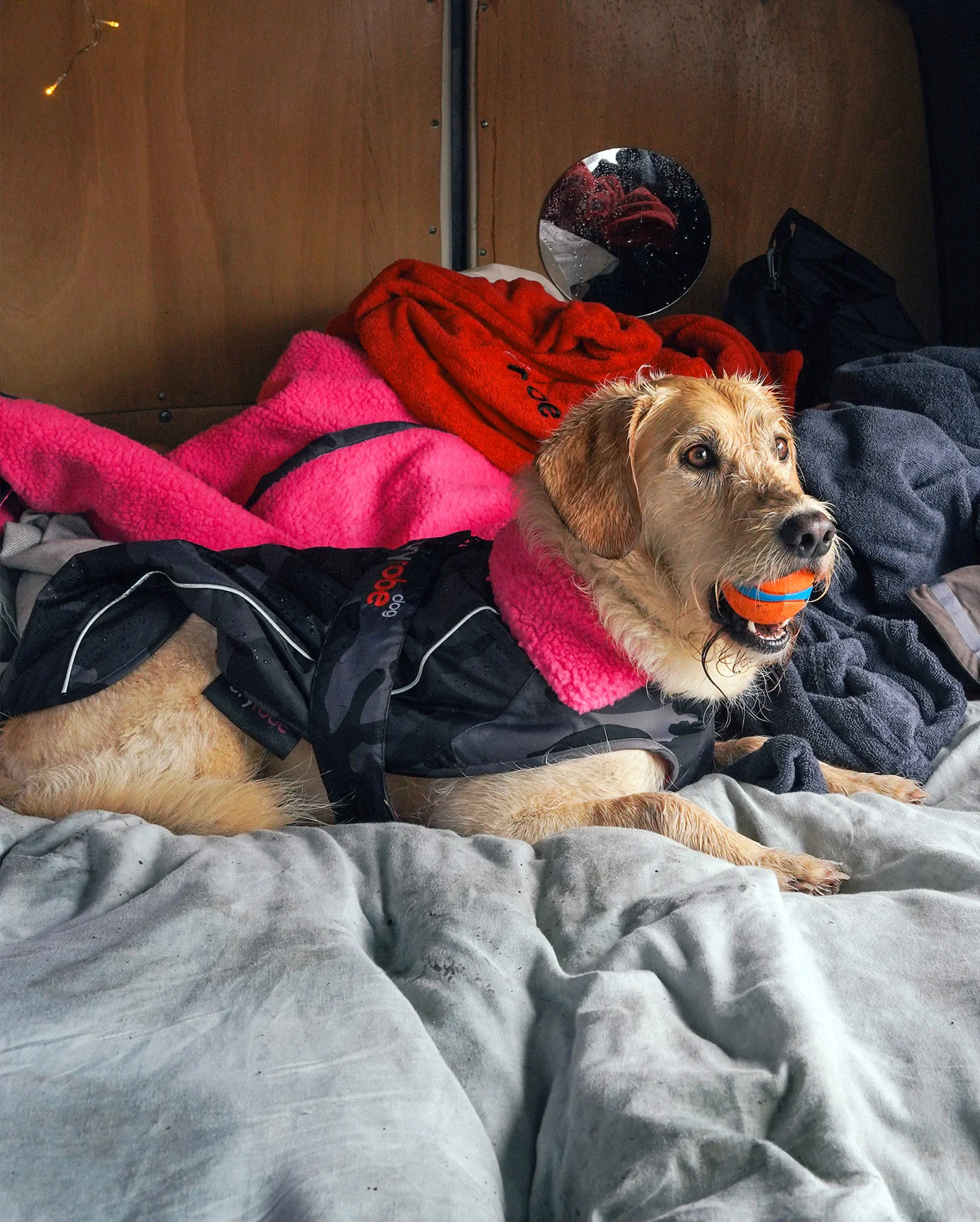 Black Camo Pink Dog Coat - Image 8