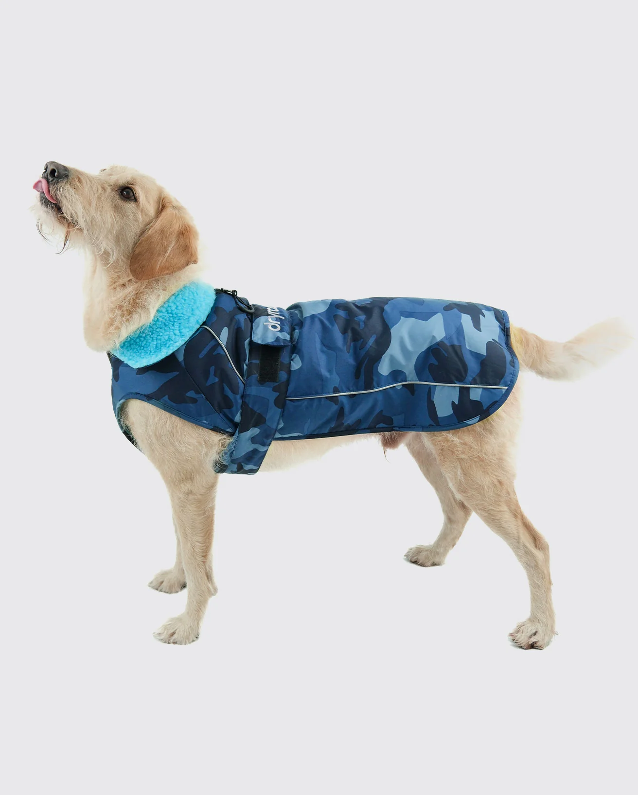 Blue Camo Dog Coat - Image 3