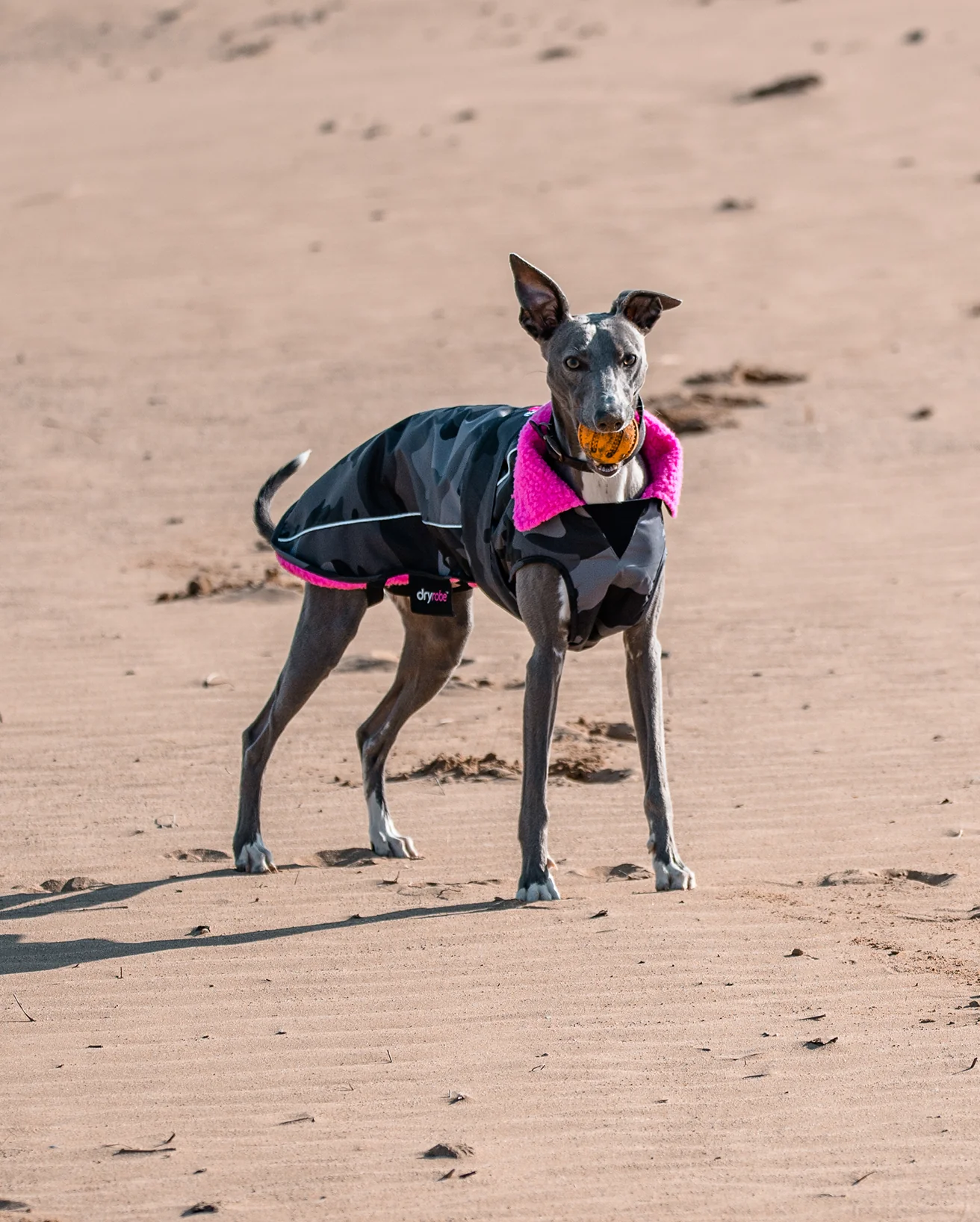 Black Camo Pink Dog Coat - Image 10