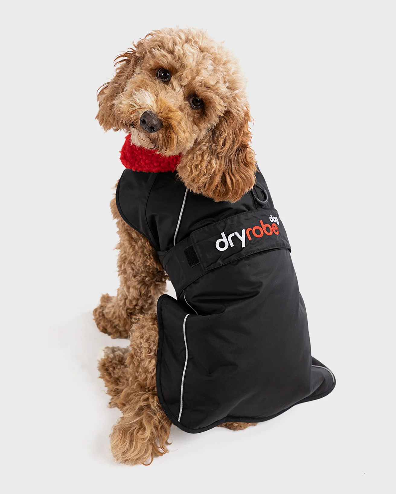 Black Red Dog Coat - Image 4