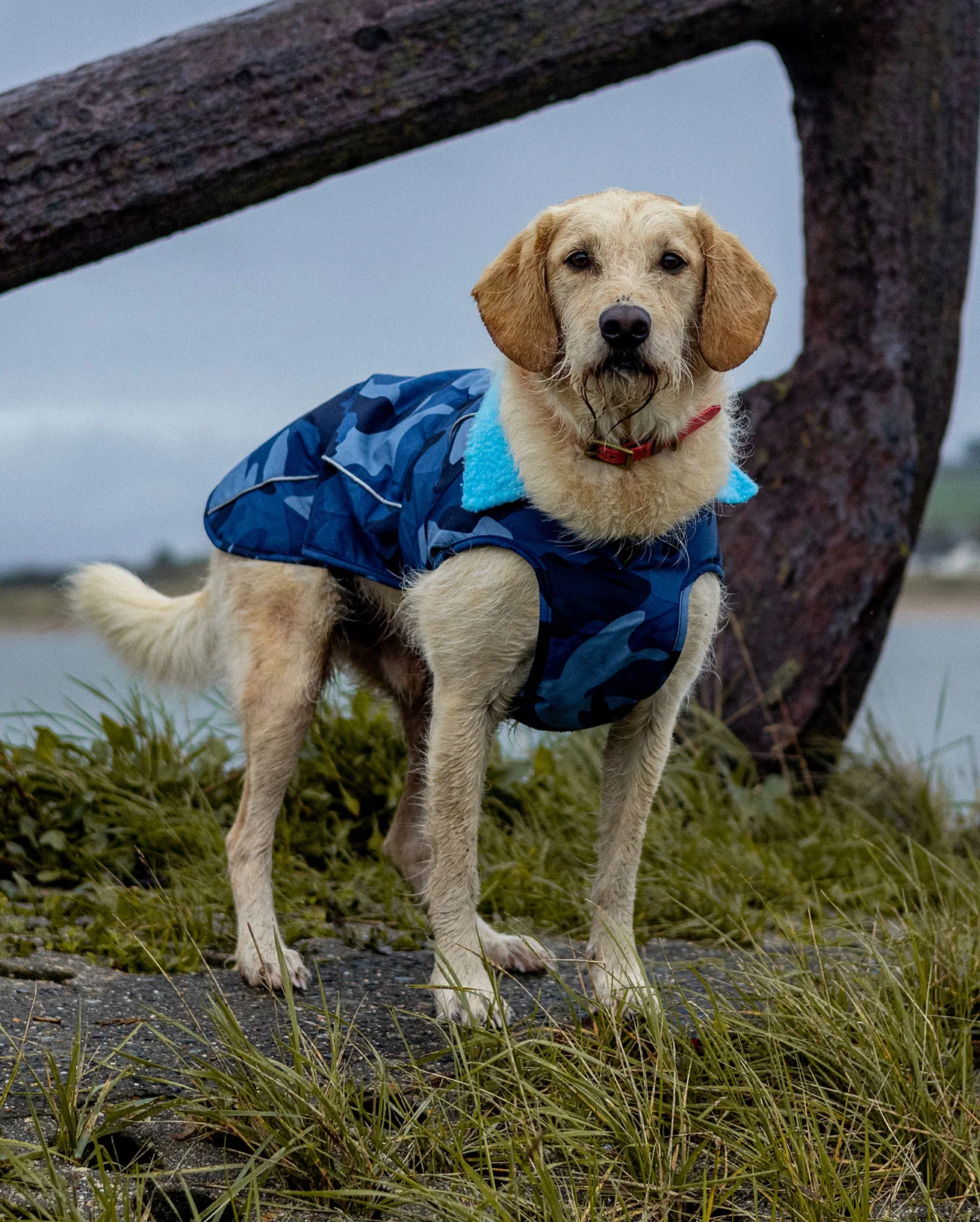 Blue Camo Dog Coat - Image 5