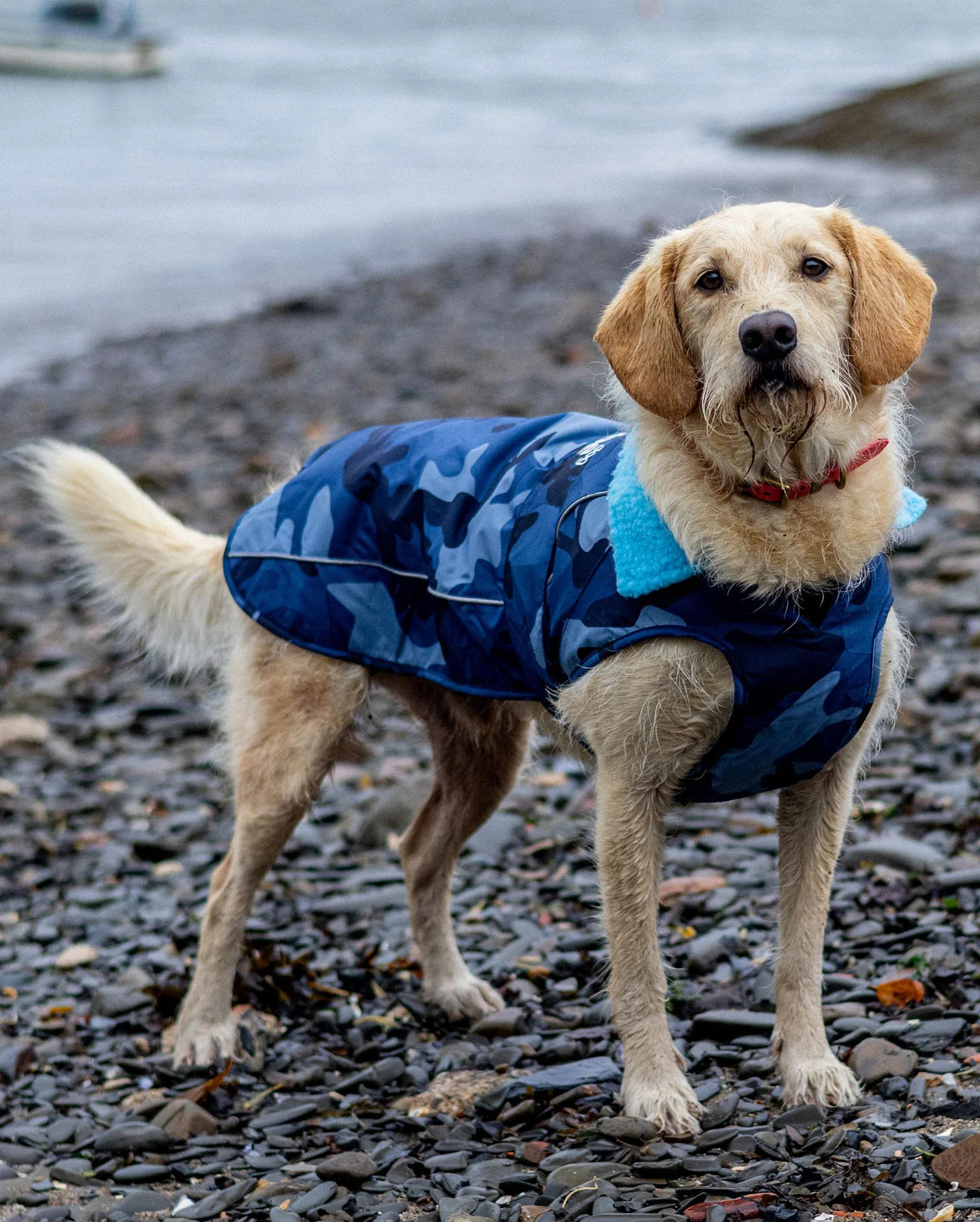 Blue Camo Dog Coat - Image 6
