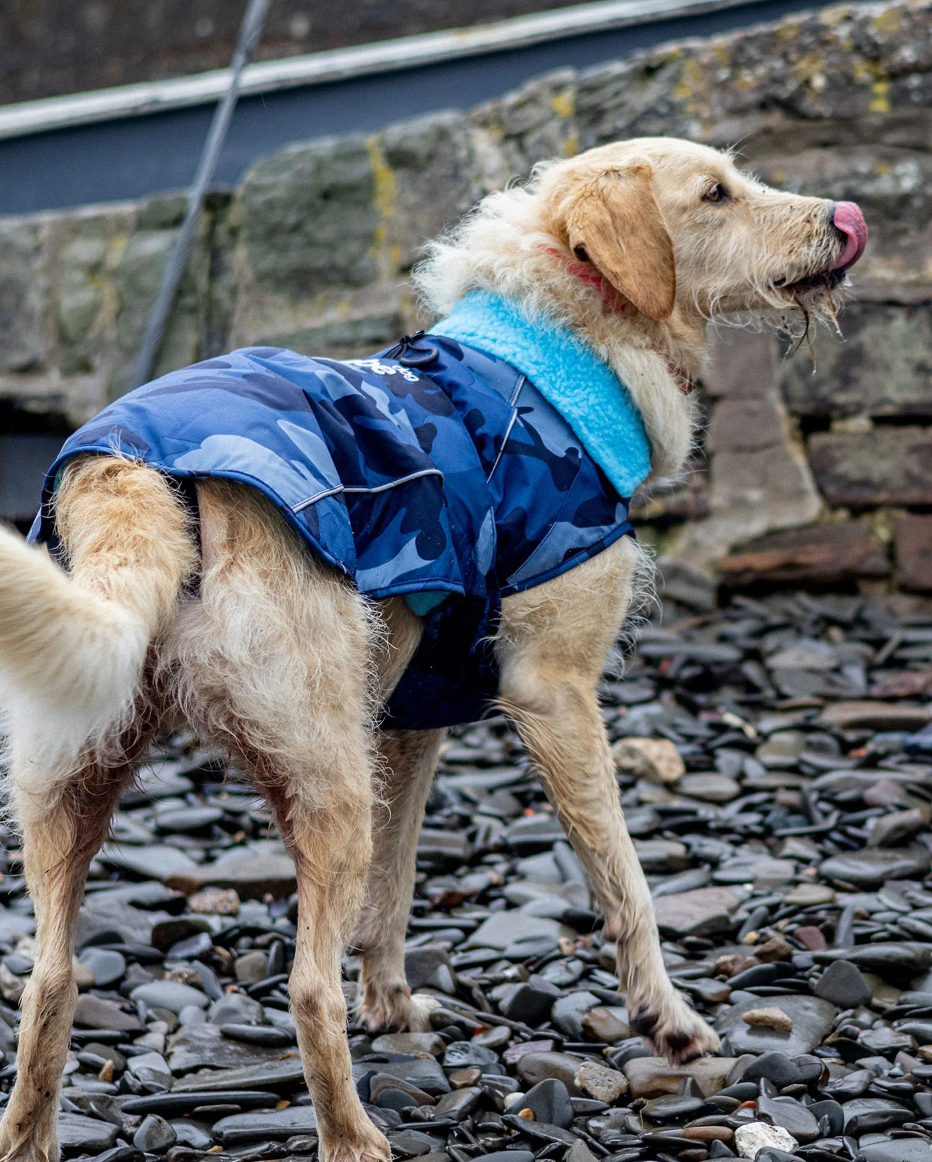 Blue Camo Dog Coat - Image 7