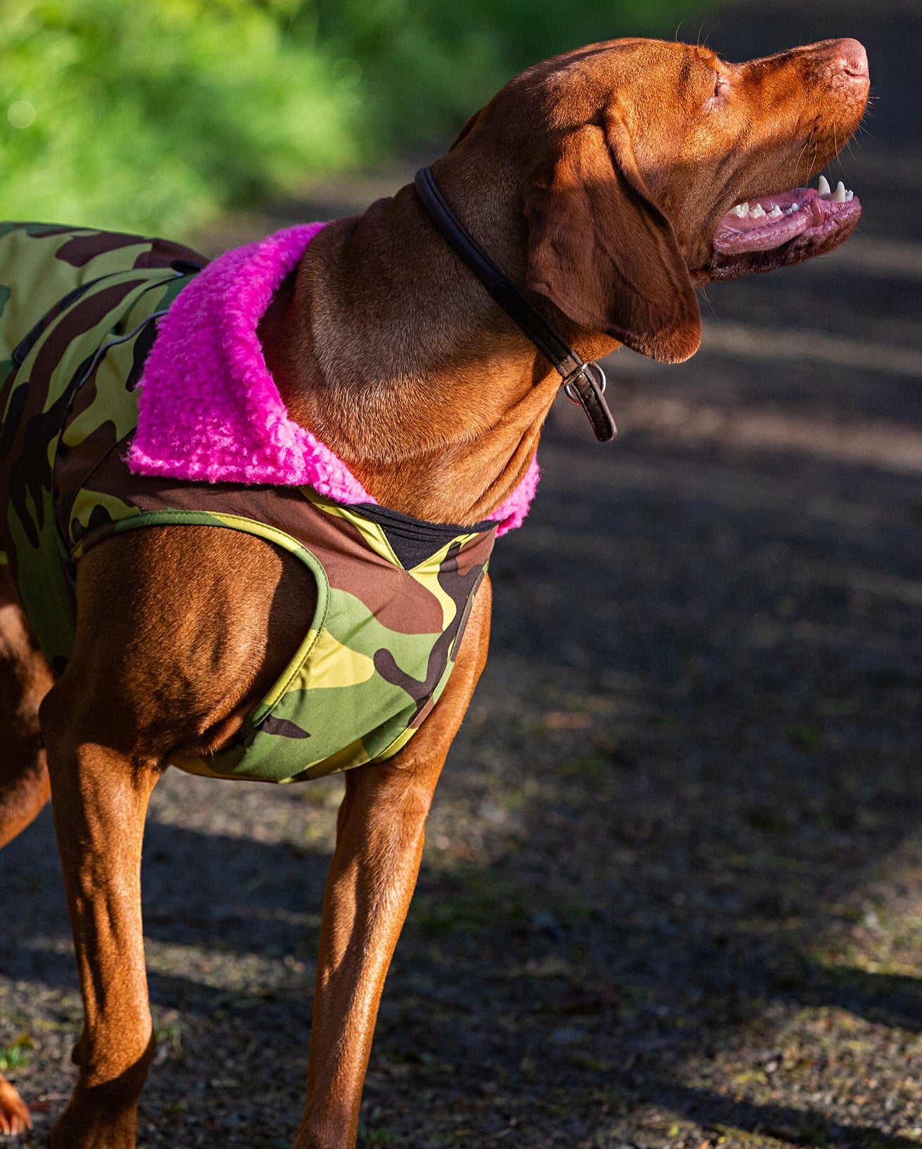 Camo Pink Dog Coat - Image 10