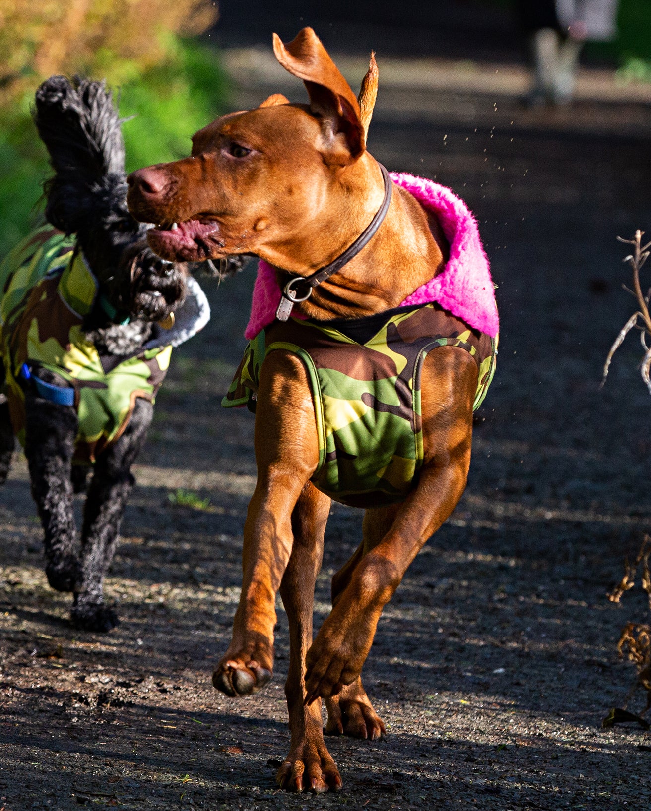 Camo Pink Dog Coat - Image 7