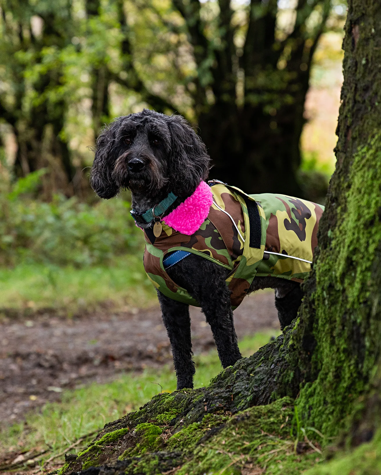 Camo Pink Dog Coat - Image 8