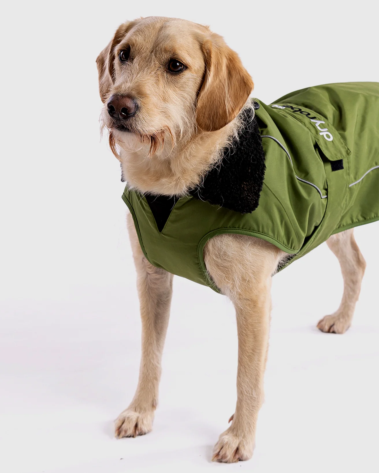 Forest Green Black Dog Coat - Image 2