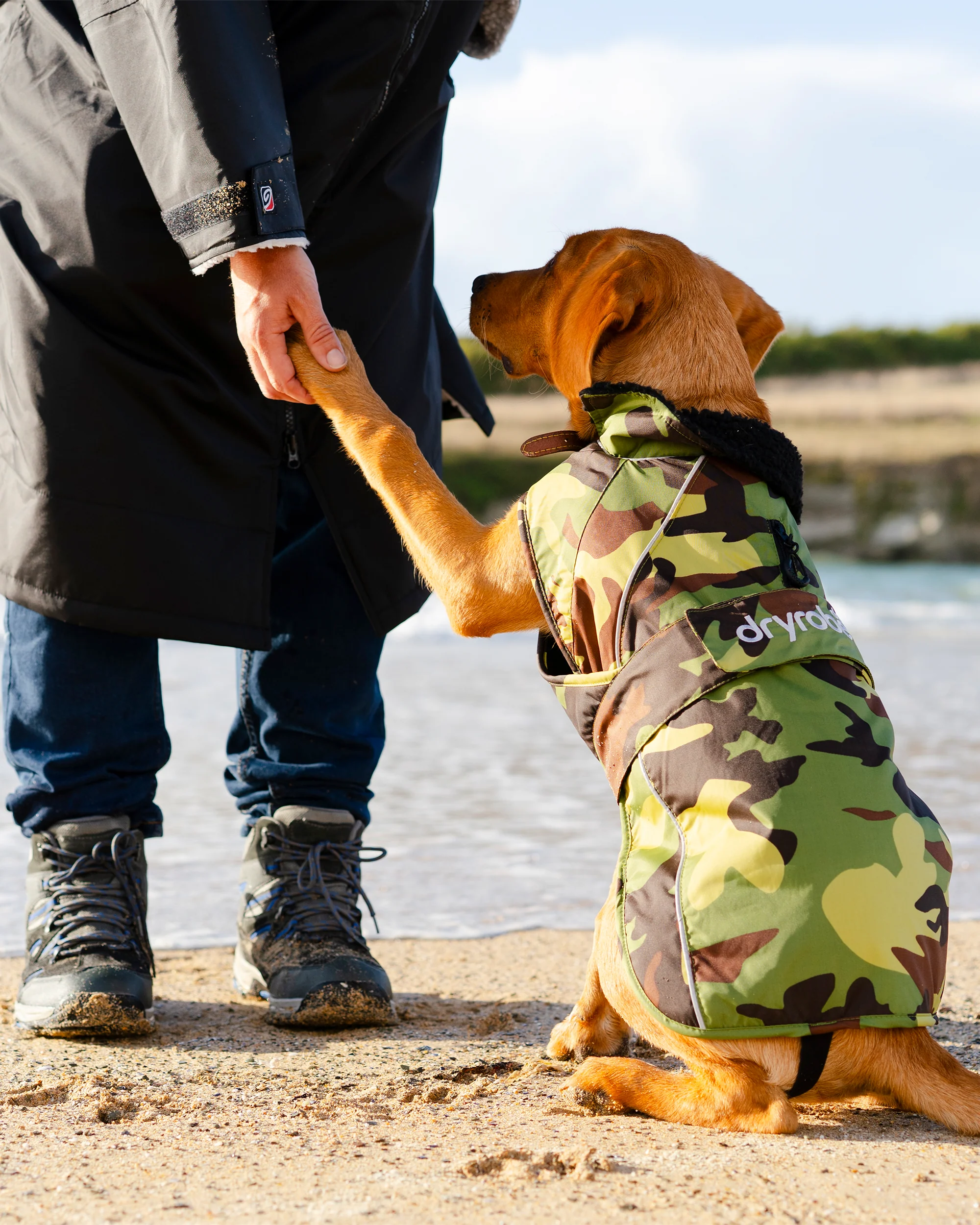 Green Camouflage Black Dog Coat - Image 7