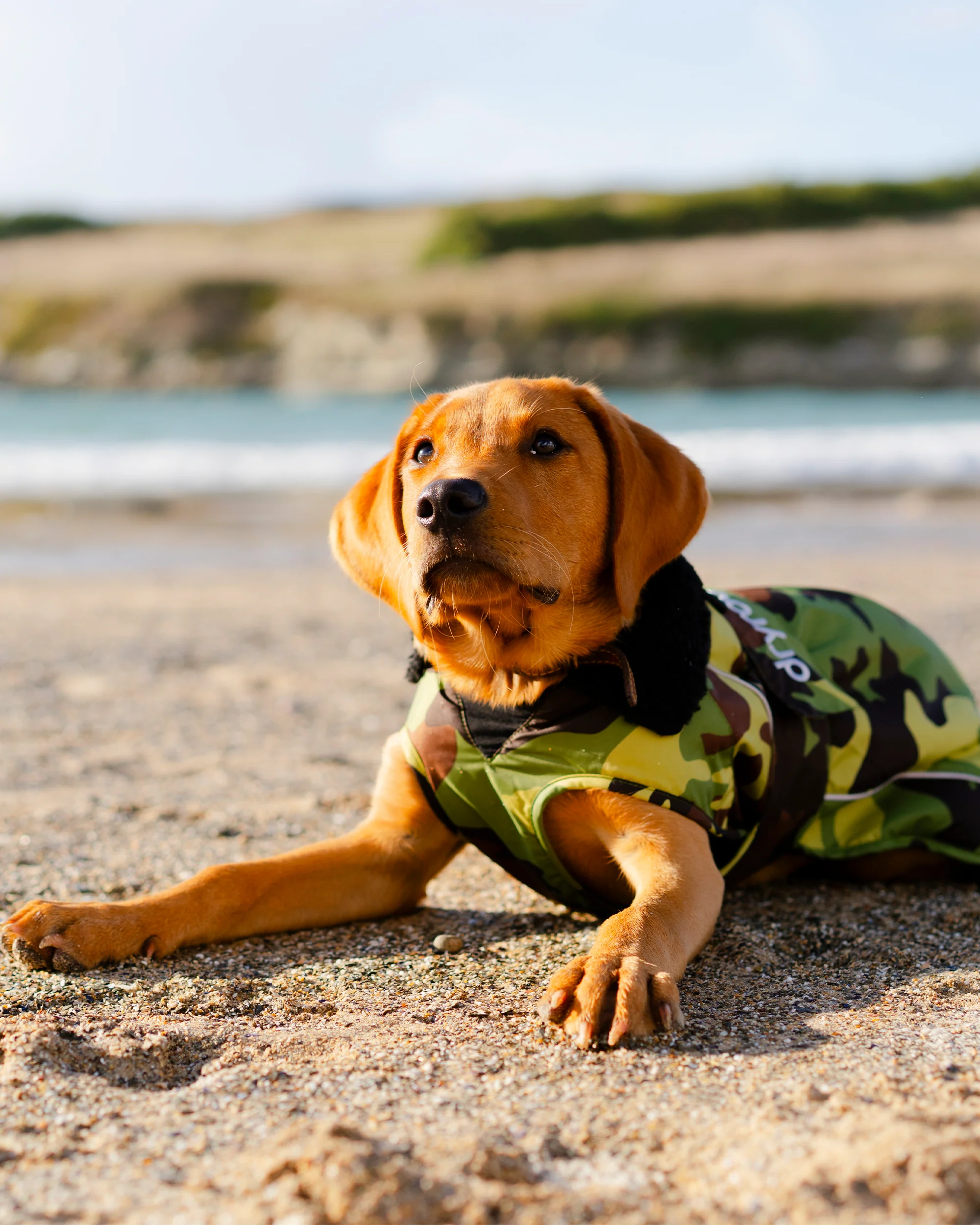 Green Camouflage Black Dog Coat - Image 8