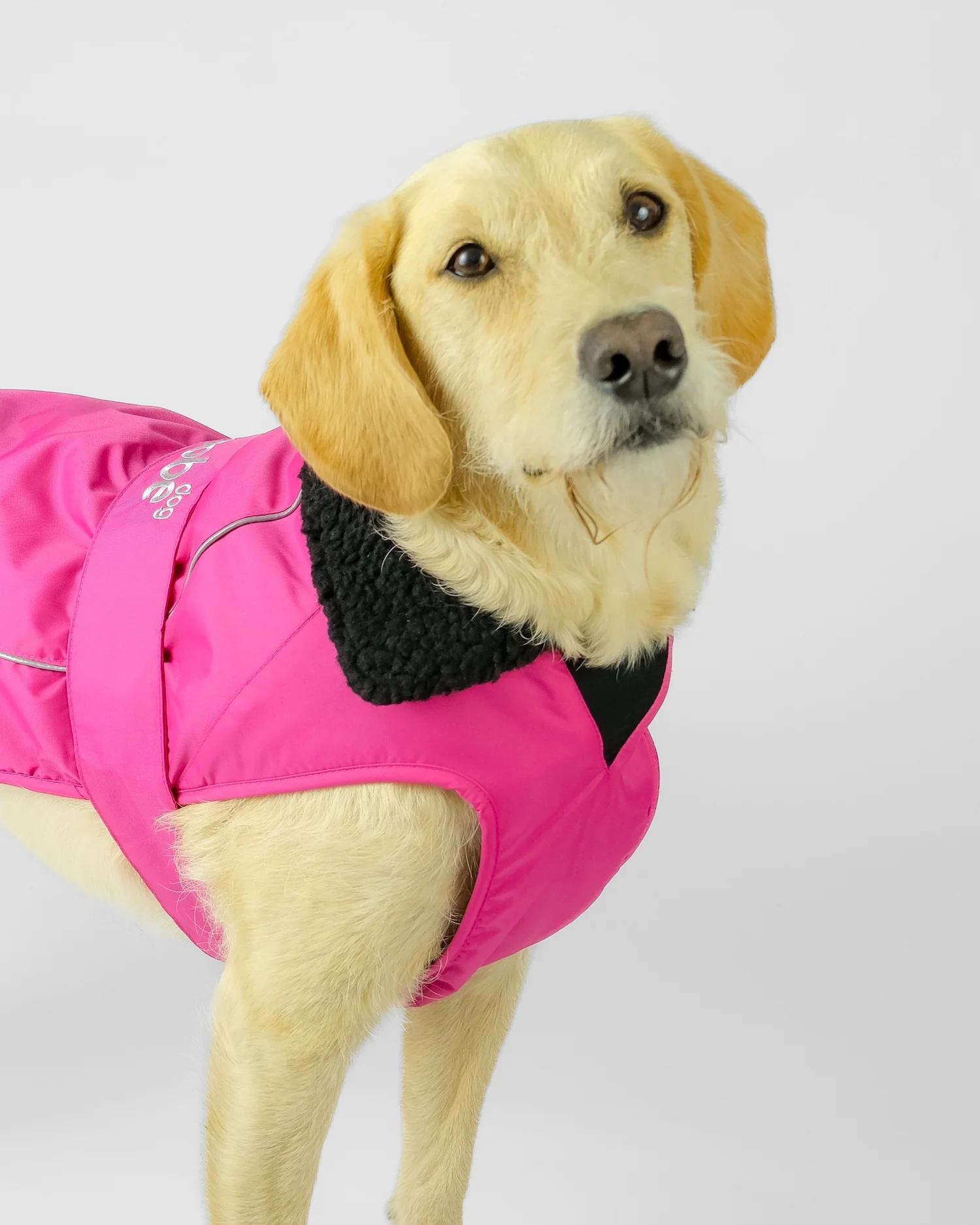 Pink Black Dog Coat - Image 3