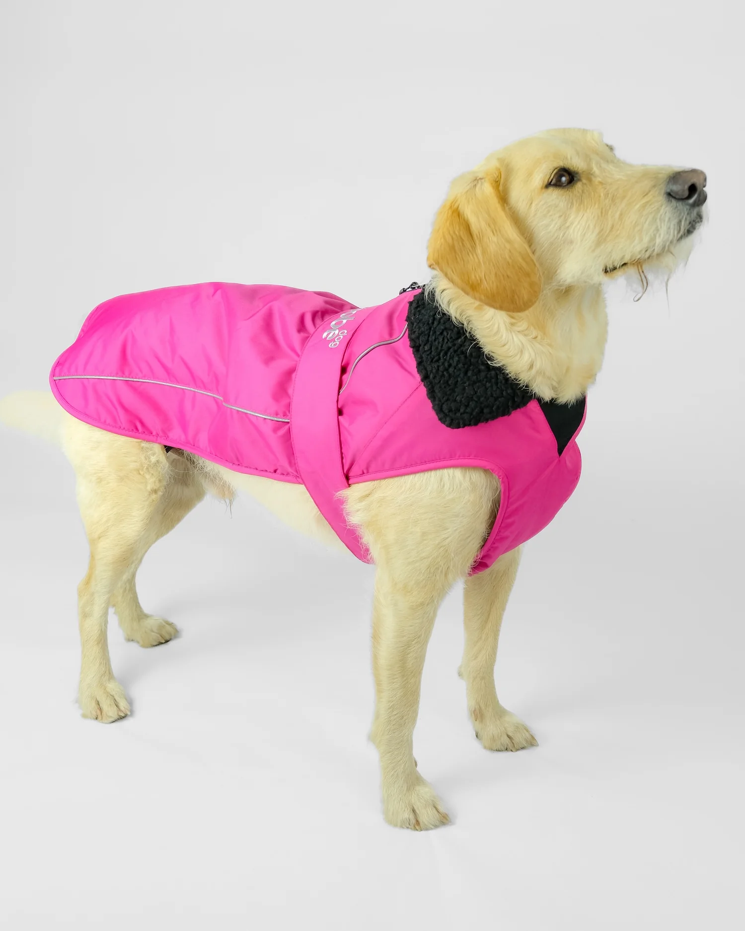 Pink Black Dog Coat - Image 5