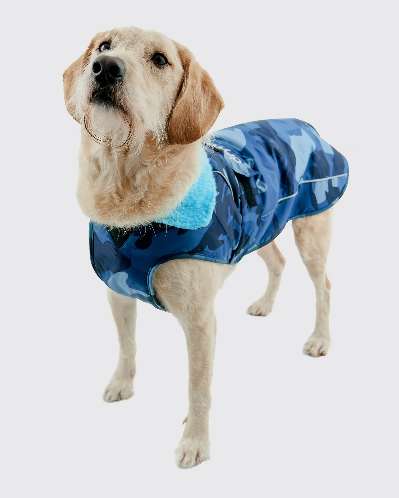 Pink Advance & Blue Camo Dog Coat Bundle - Image 5