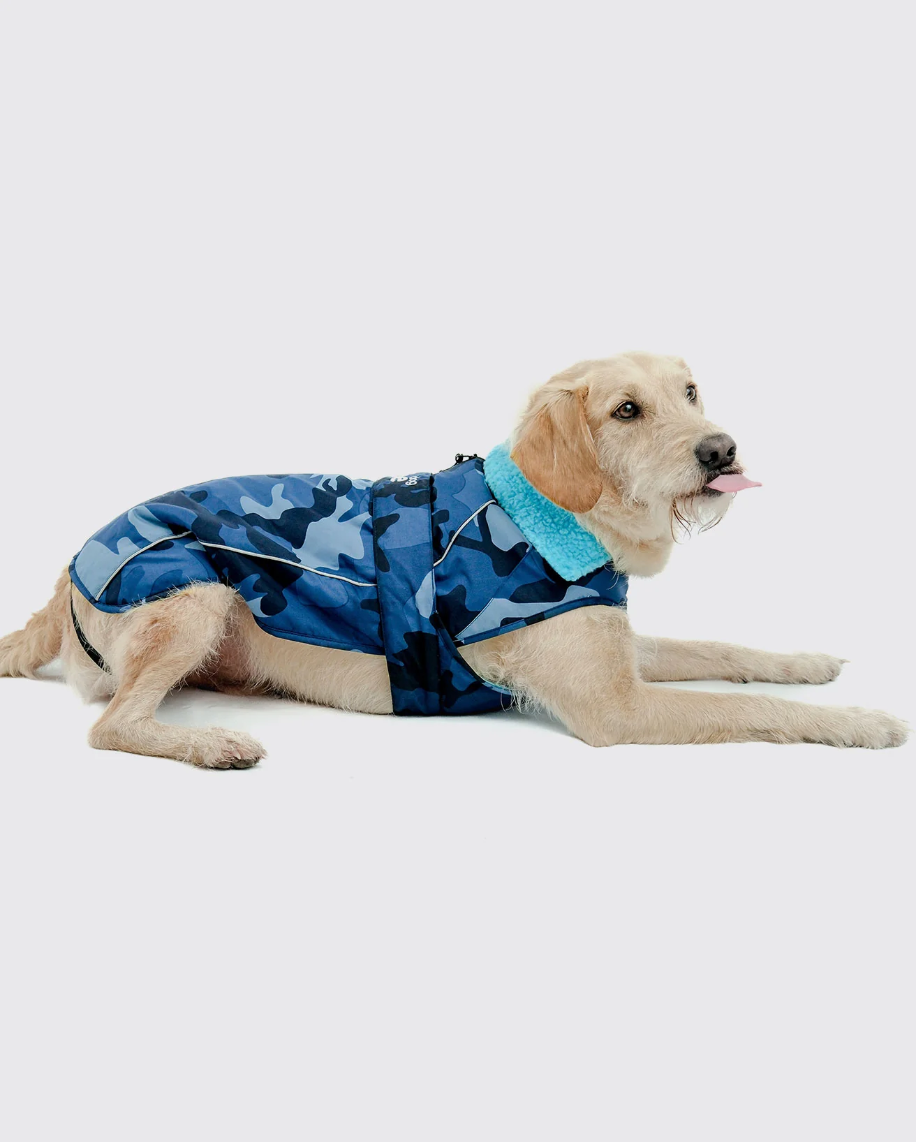 Pink Advance & Blue Camo Dog Coat Bundle - Image 6